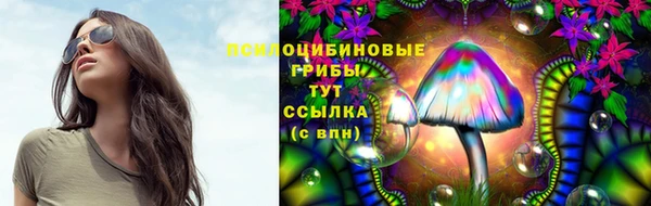 apvp Абинск