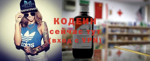 СК Новозыбков