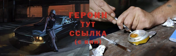 прущие грибы Ельня