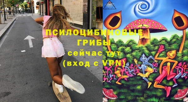 бошки Абдулино